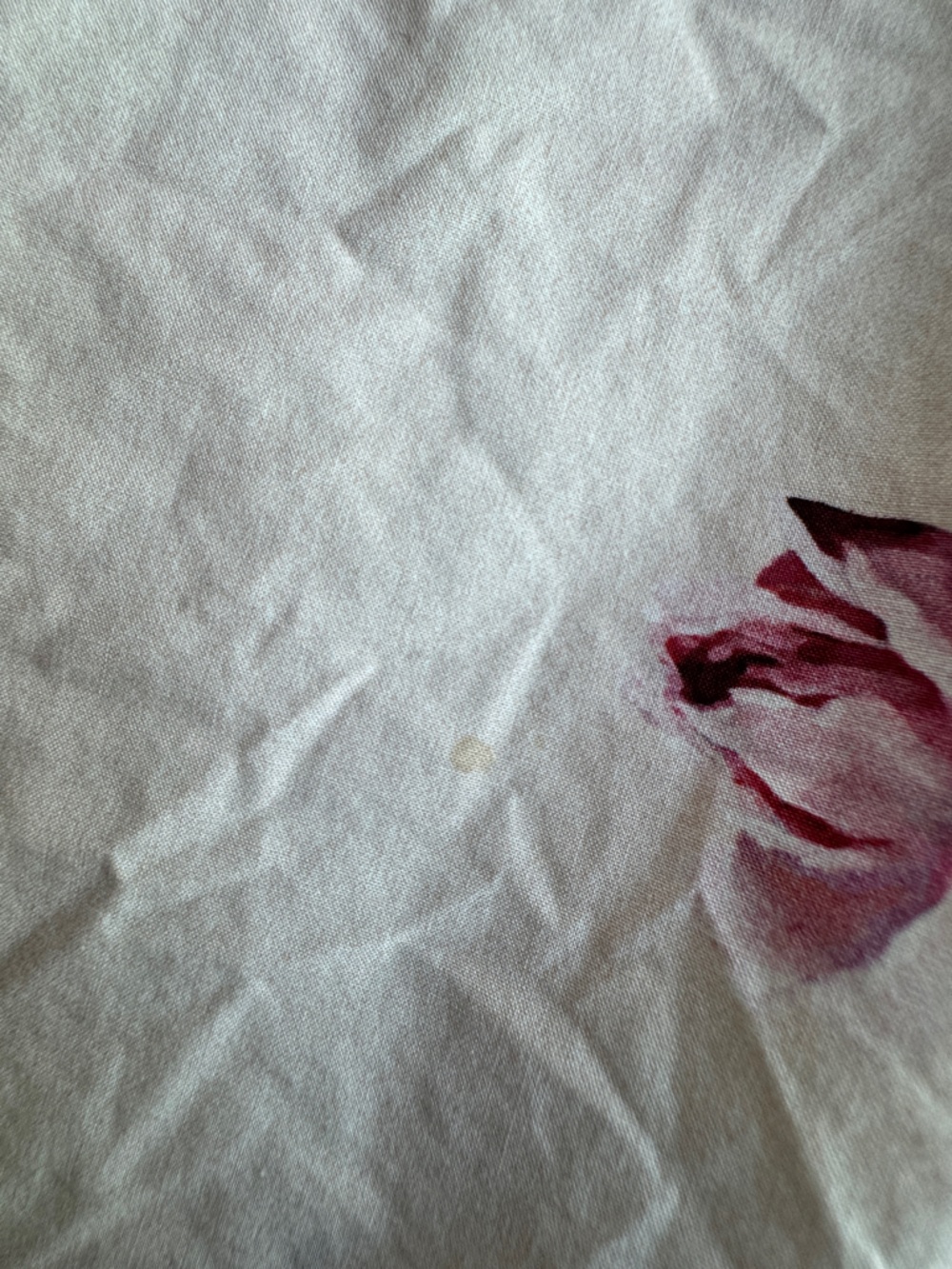 Dolce & Gabbana Girls' Pink Rose Butterly Print Cotton Sundress Sz 11/12 - Picture 9 of 14